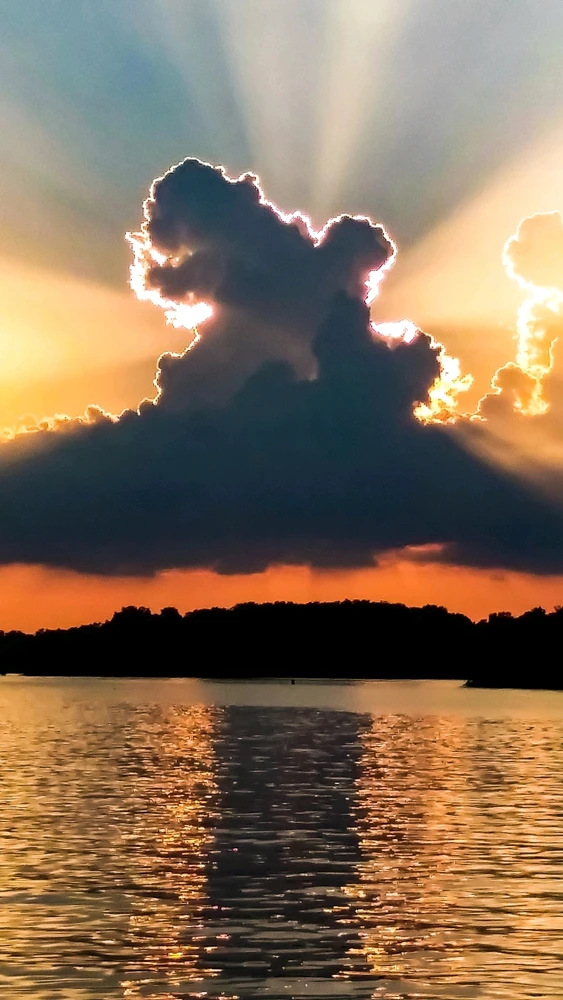 GIF uploaded by Troy
