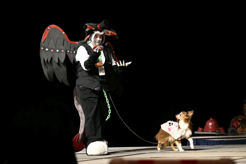 Had a lot of fun at Sacanime a few weeks ago!