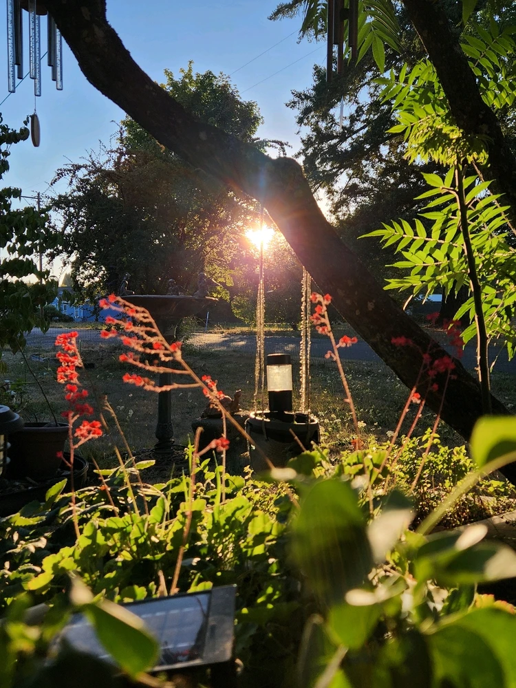 Image uploaded by Lucas