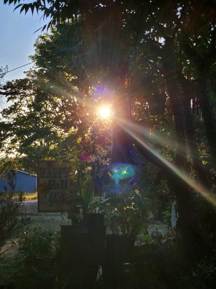 Image uploaded by Lucas