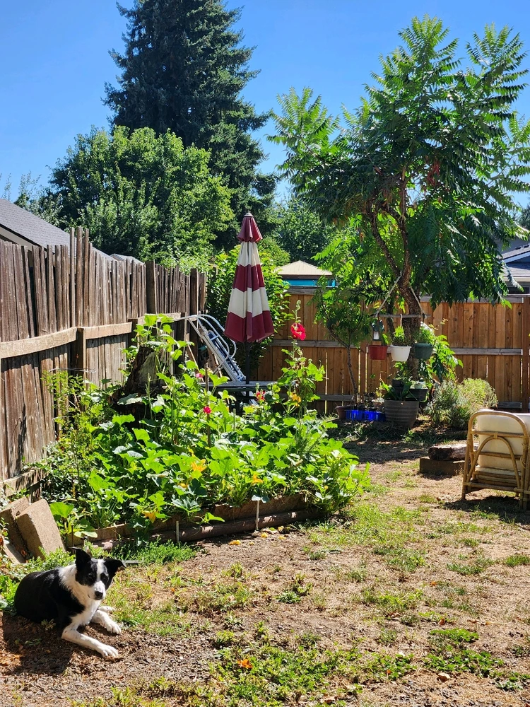 Image uploaded by Lucas