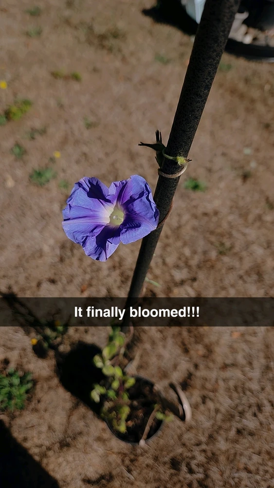 Image uploaded by Lucas