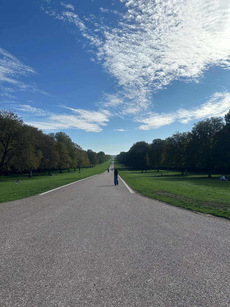 Image uploaded by Eddy