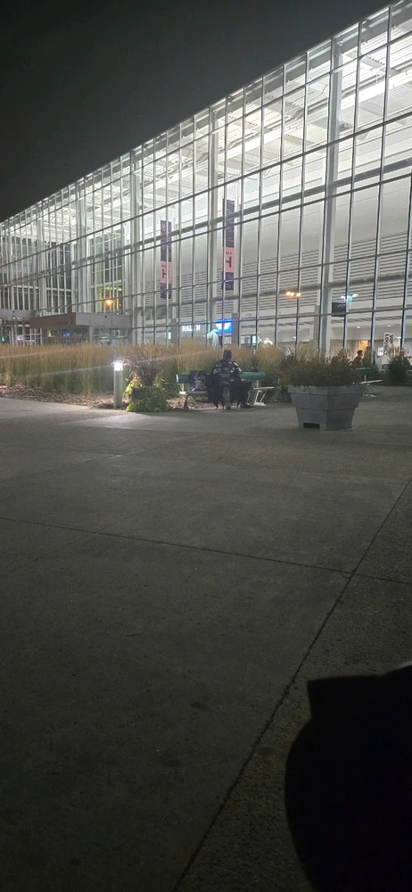 Duab xa los ntawm Meg