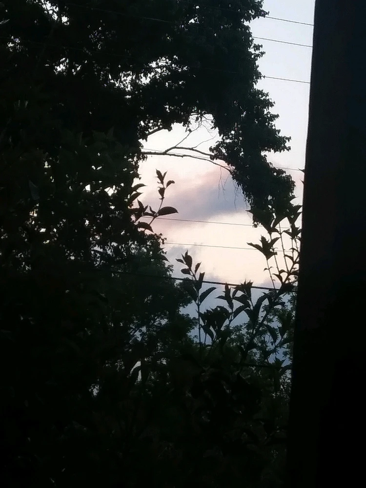GIF uploaded by Virgil