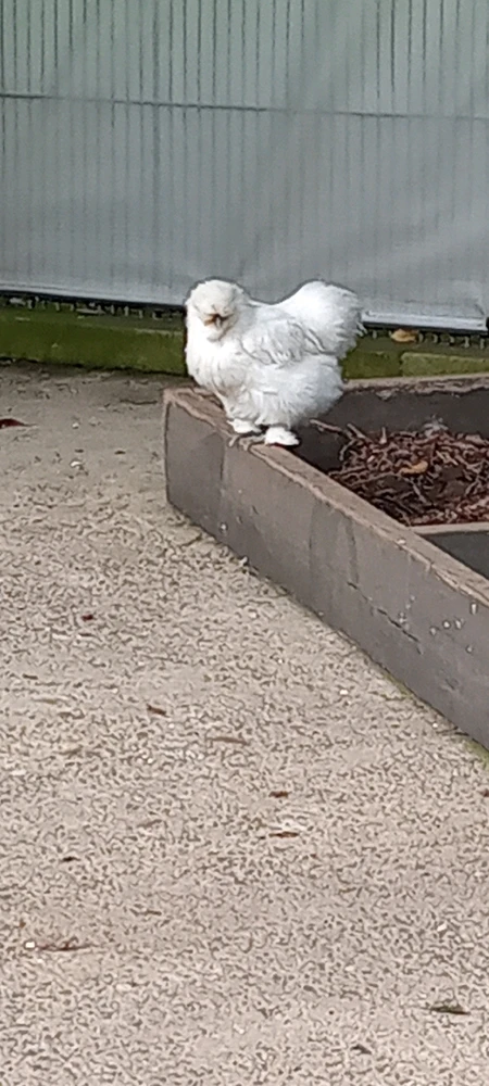 GIF uploaded by Brooke