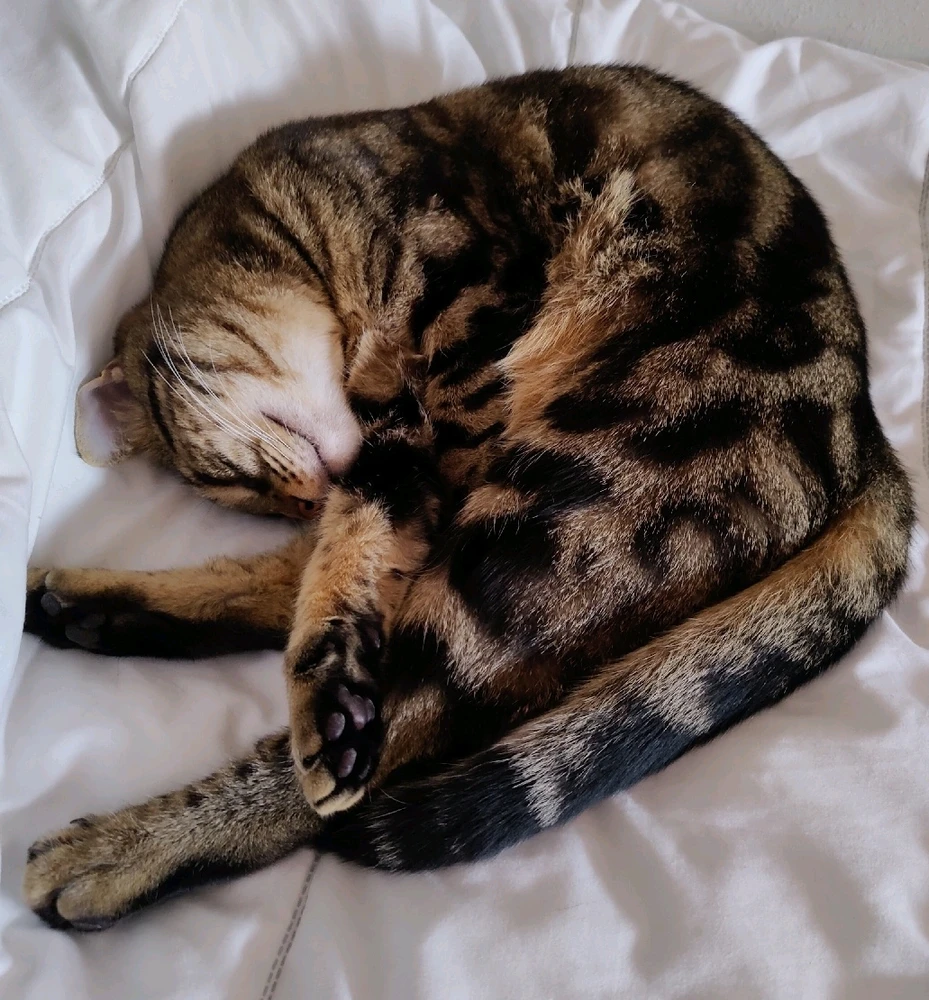 GIF caricata da Matteo