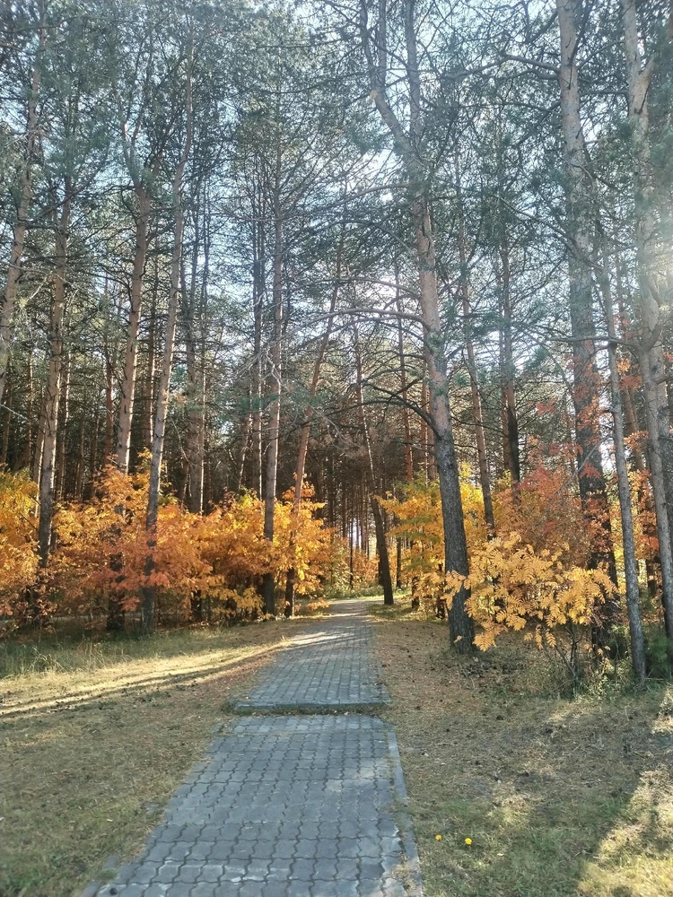 Image uploaded by Tusya