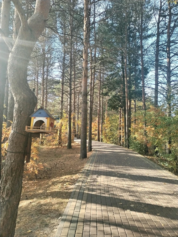 Image uploaded by Tusya