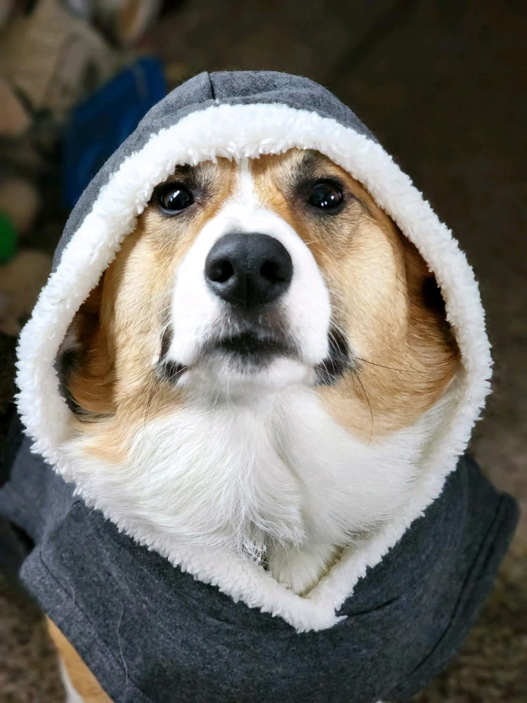 GIF uploaded by Markus