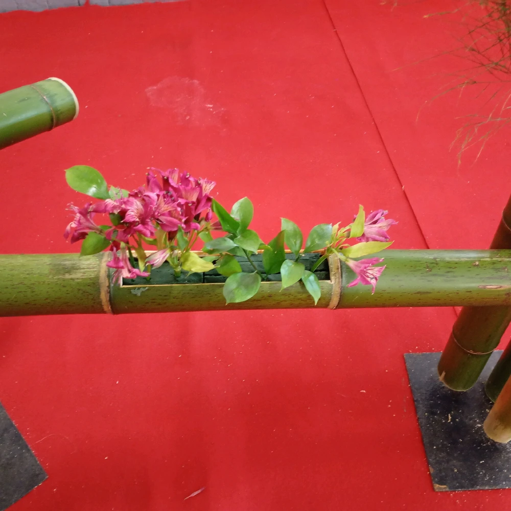 Imagem enviada por Alex