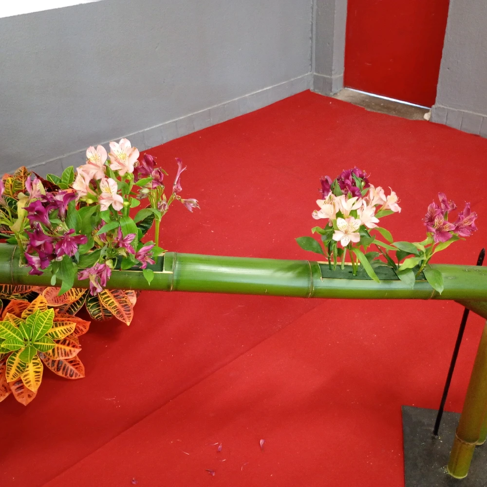 Imagem enviada por Alex