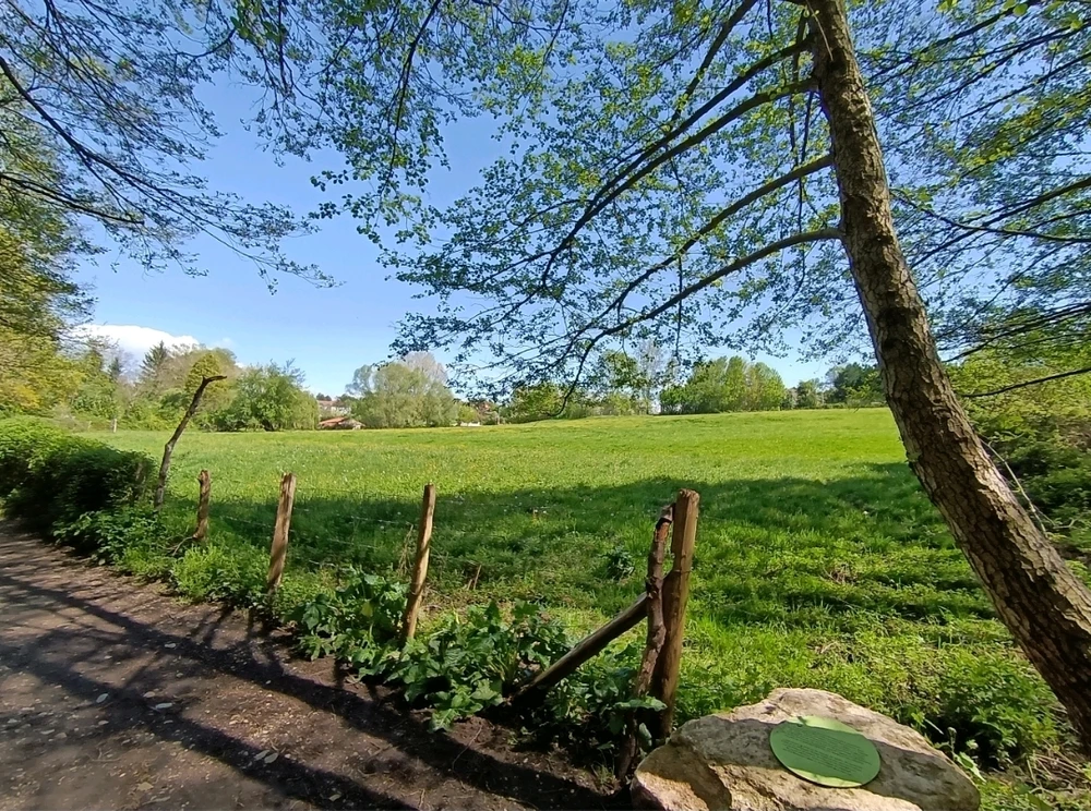 Image ajoutée par Saffiya