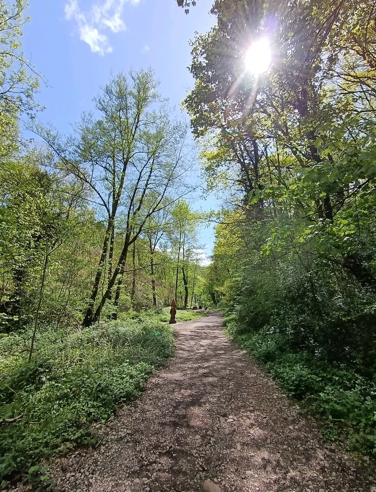 Image ajoutée par Saffiya