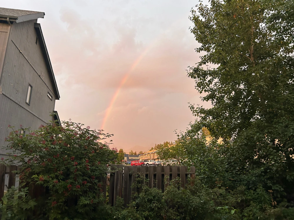 Image uploaded by Matthew