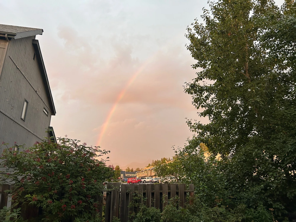 Image uploaded by Matthew