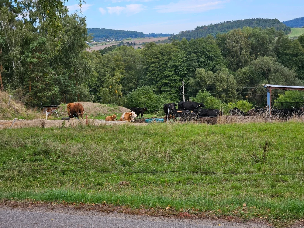 Obrázek nahrál Tomáš