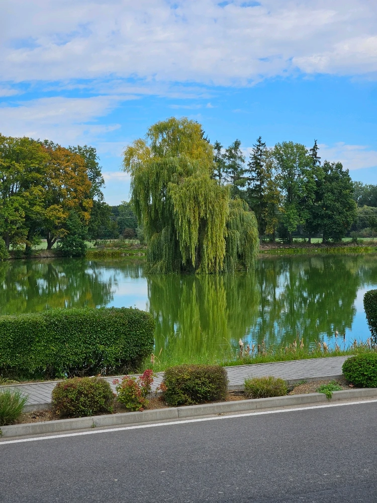 Obrázek nahrál Tomáš