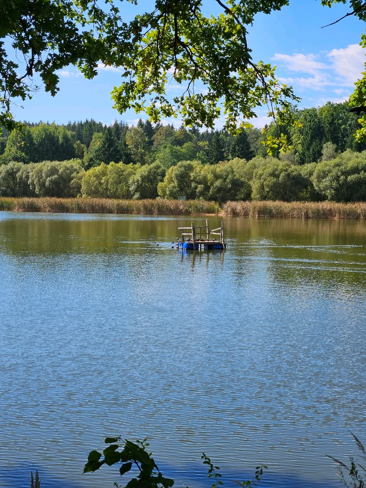 Obrázek nahrál Tomáš