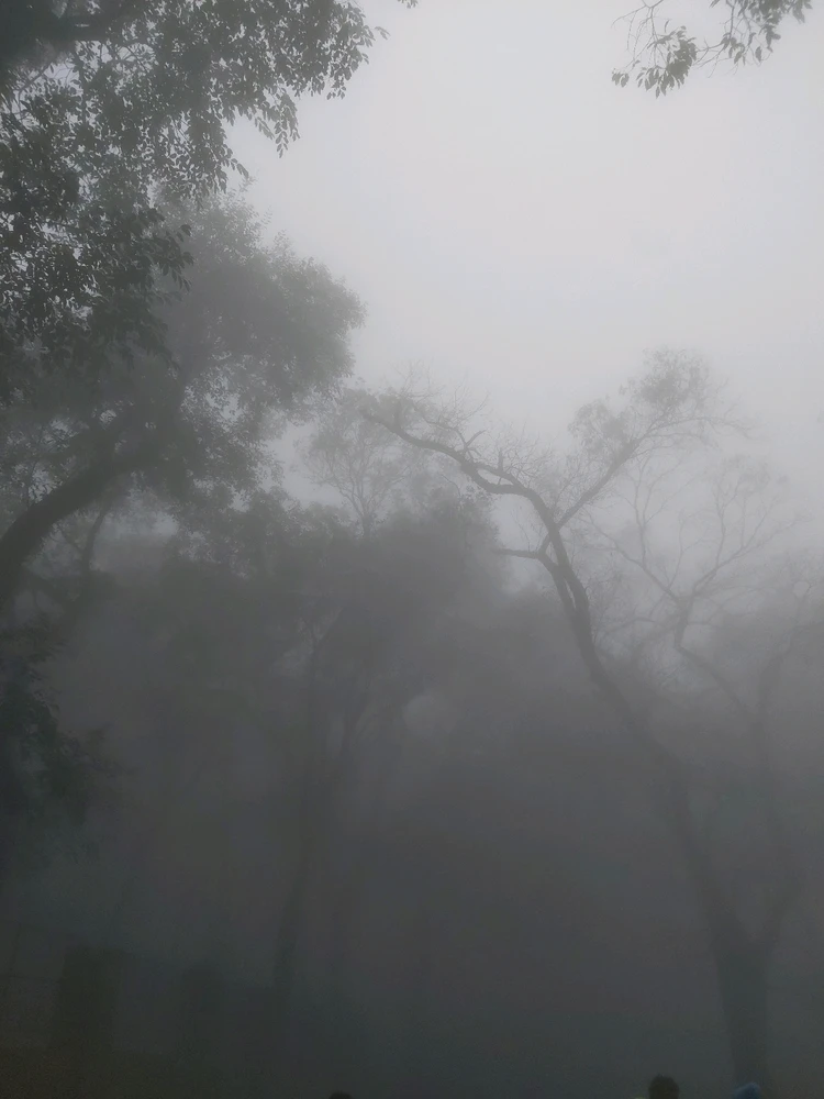 Image uploaded by VED