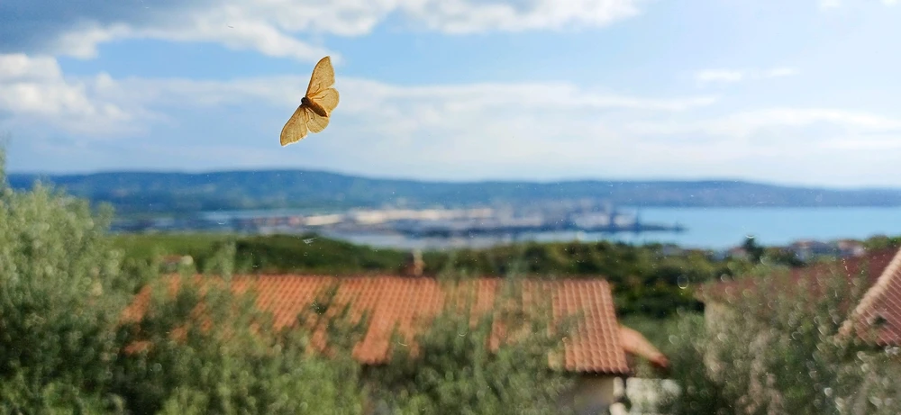 GIF uploaded by × Curious Girl ×