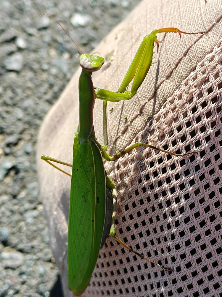 Zdjęcie dodane przez Krzysztof