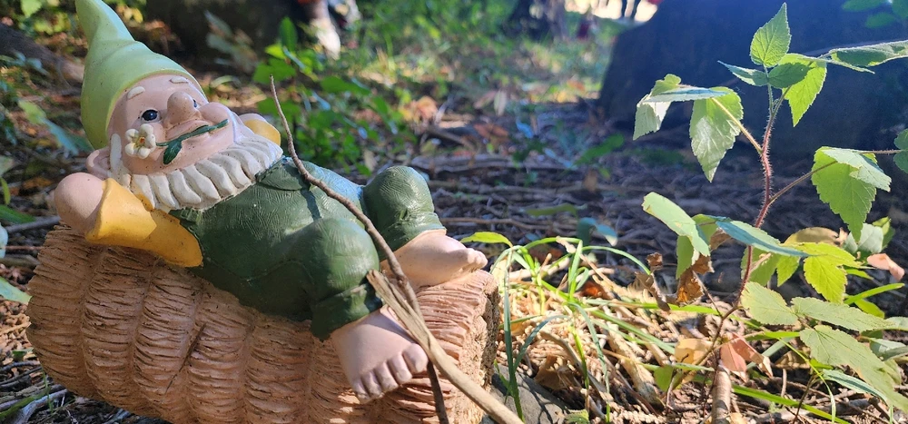 Image uploaded by Ŕąfet