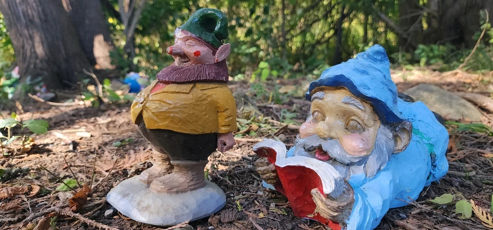 Image uploaded by Ŕąfet