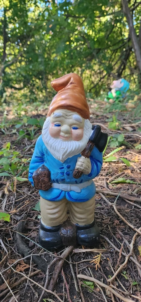 Image uploaded by Ŕąfet