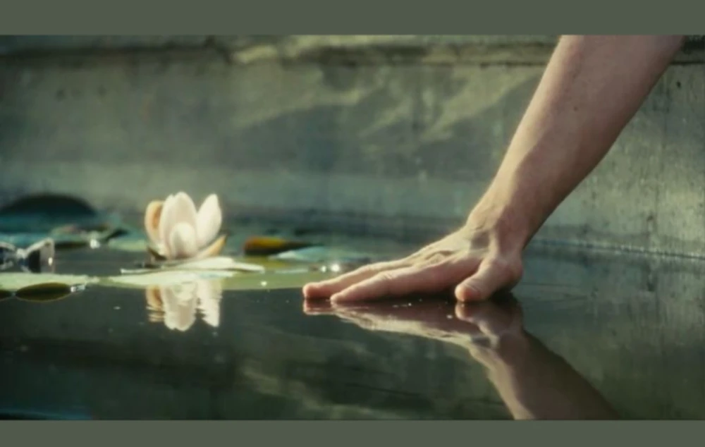 🍿🎥Name that movie🎥🍿