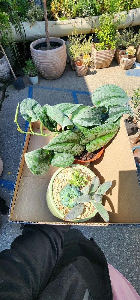 GIF uploaded by Jamie