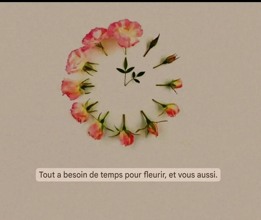 Image ajoutée par Saffiya