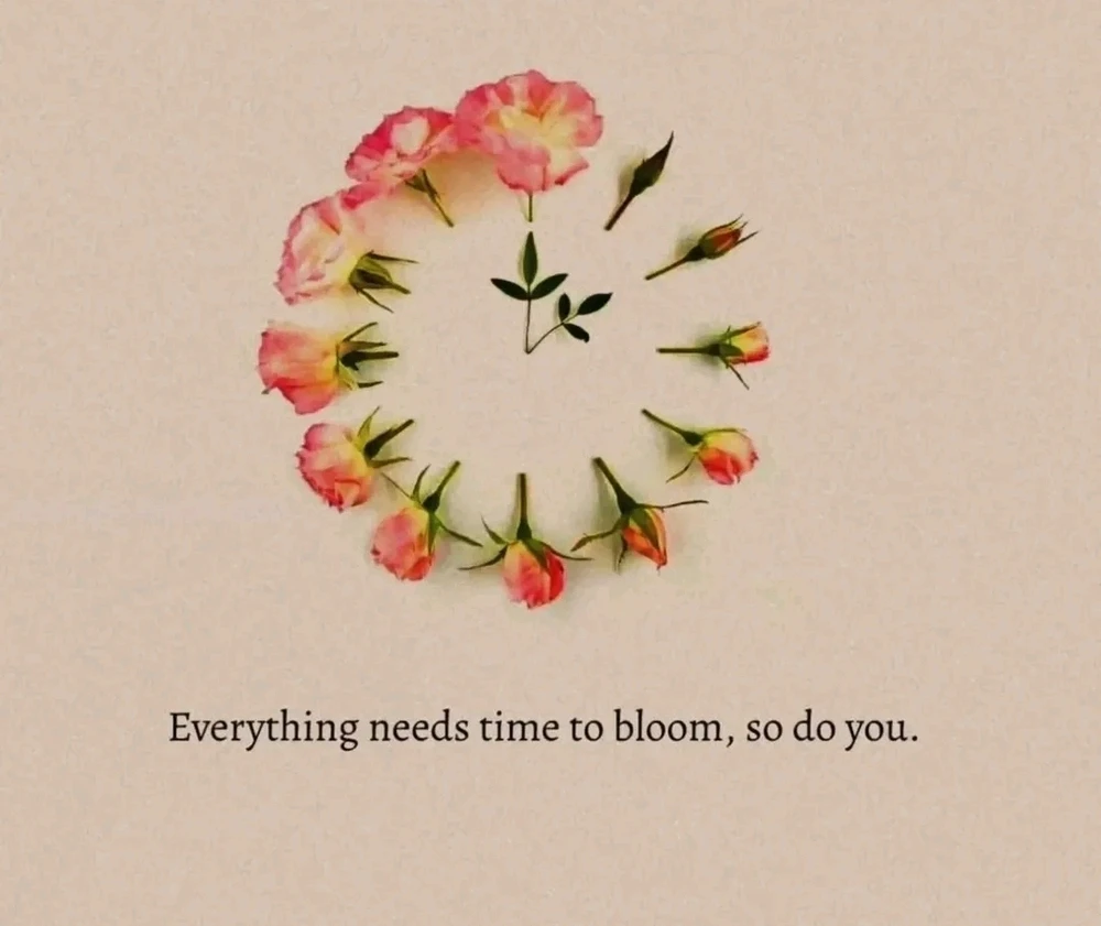 Image ajoutée par Saffiya