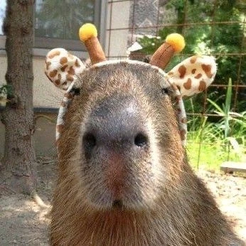 Gambar diunggah dening 𝓢𝓮𝓻𝓮𝓷 • 𝓢𝓮𝓻𝓮𝓷𝓭𝓲𝓹𝓲𝓽𝔂