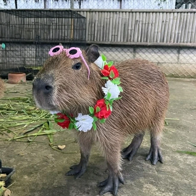 Gambar diunggah dening 𝓢𝓮𝓻𝓮𝓷 • 𝓢𝓮𝓻𝓮𝓷𝓭𝓲𝓹𝓲𝓽𝔂