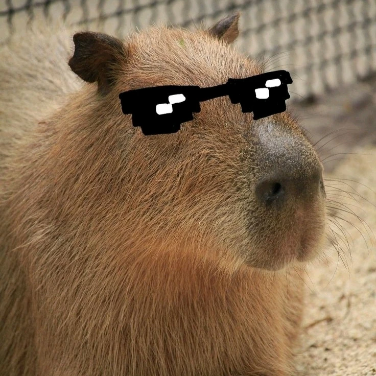 Gambar diunggah dening 𝓢𝓮𝓻𝓮𝓷 • 𝓢𝓮𝓻𝓮𝓷𝓭𝓲𝓹𝓲𝓽𝔂