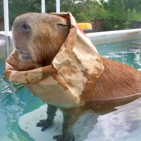 Gambar diunggah dening 𝓢𝓮𝓻𝓮𝓷 • 𝓢𝓮𝓻𝓮𝓷𝓭𝓲𝓹𝓲𝓽𝔂