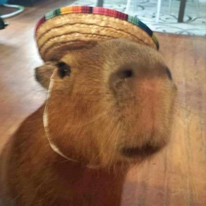 Gambar diunggah dening 𝓢𝓮𝓻𝓮𝓷 • 𝓢𝓮𝓻𝓮𝓷𝓭𝓲𝓹𝓲𝓽𝔂