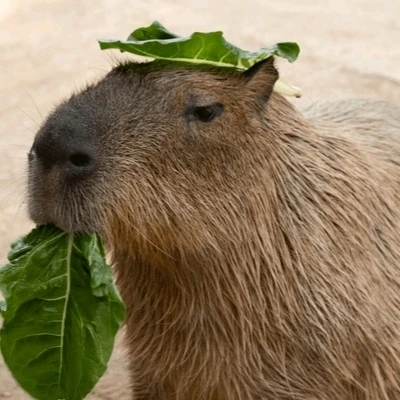 Gambar diunggah dening 𝓢𝓮𝓻𝓮𝓷 • 𝓢𝓮𝓻𝓮𝓷𝓭𝓲𝓹𝓲𝓽𝔂