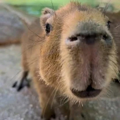 Gambar diunggah dening 𝓢𝓮𝓻𝓮𝓷 • 𝓢𝓮𝓻𝓮𝓷𝓭𝓲𝓹𝓲𝓽𝔂