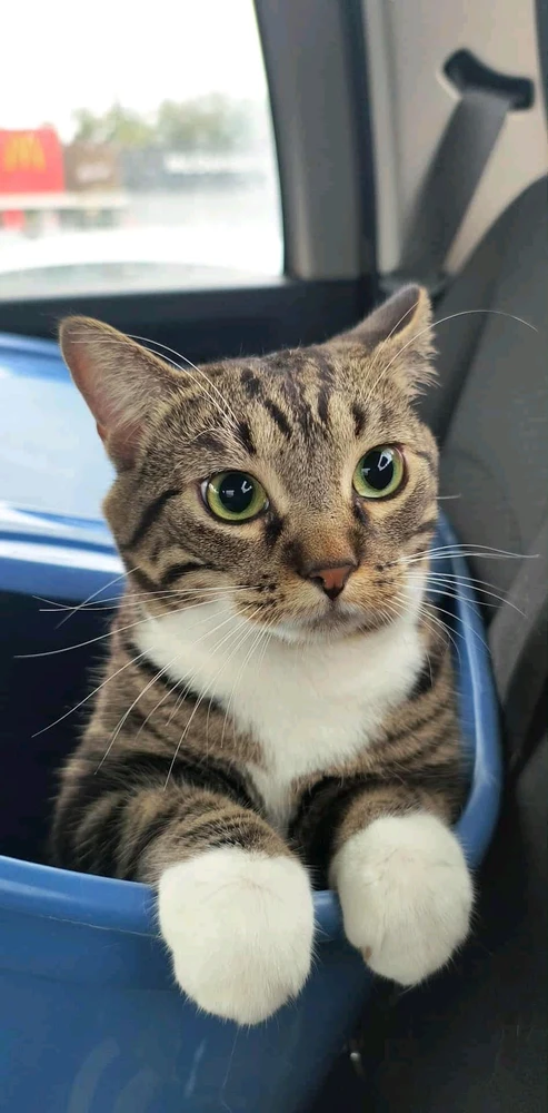 GIF uploaded by Luna