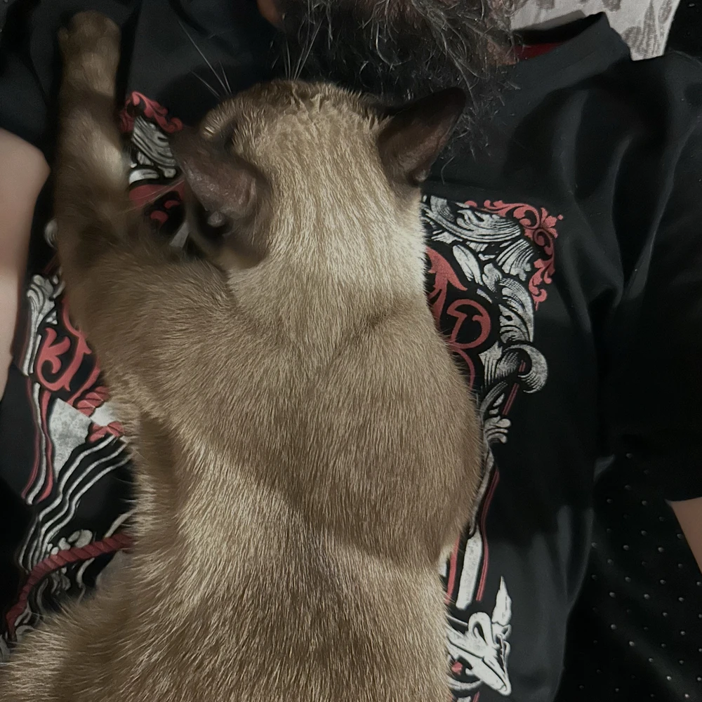 GIF uploaded by Nuno