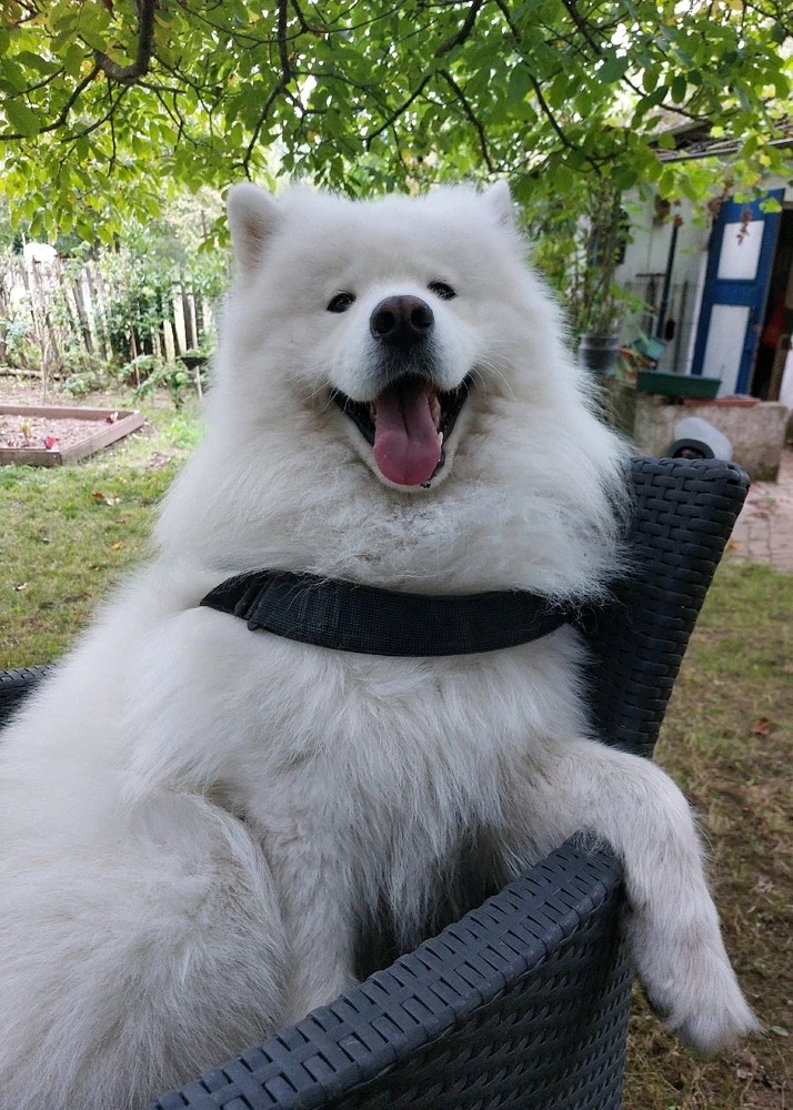 GIF uploaded by Jonas