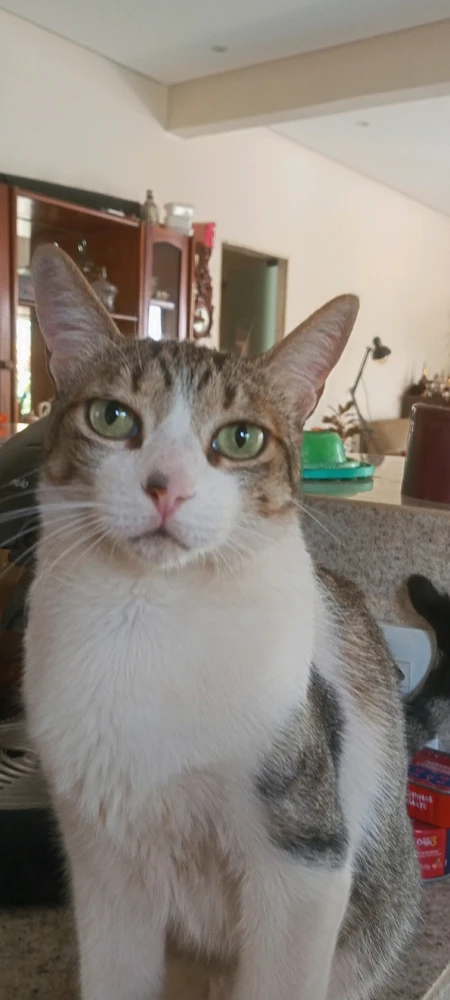 GIF enviado por Nivia