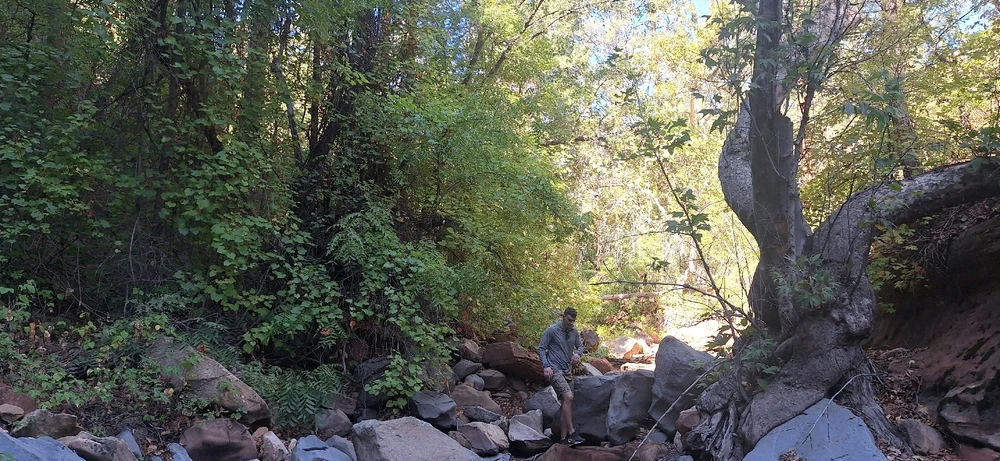 Today's 20 mile adventure