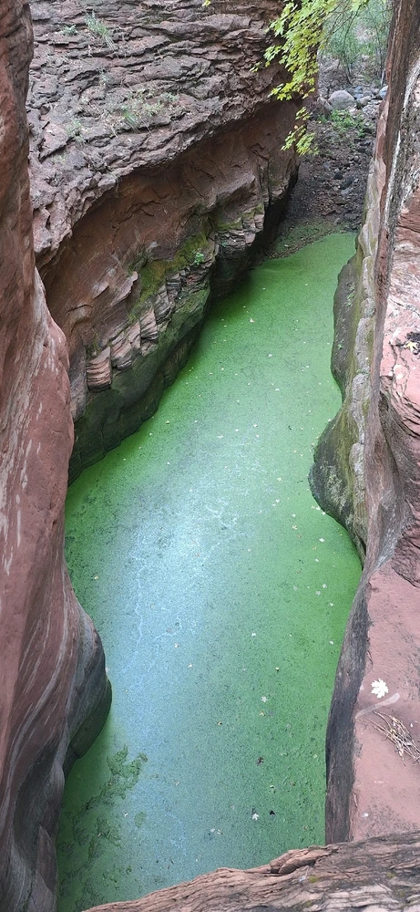 Today's 20 mile adventure