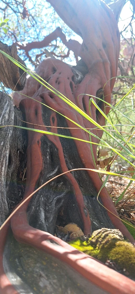 Today's 20 mile adventure