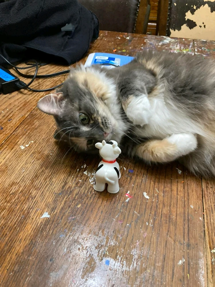 The cow has entered the swipe zone..π€―π