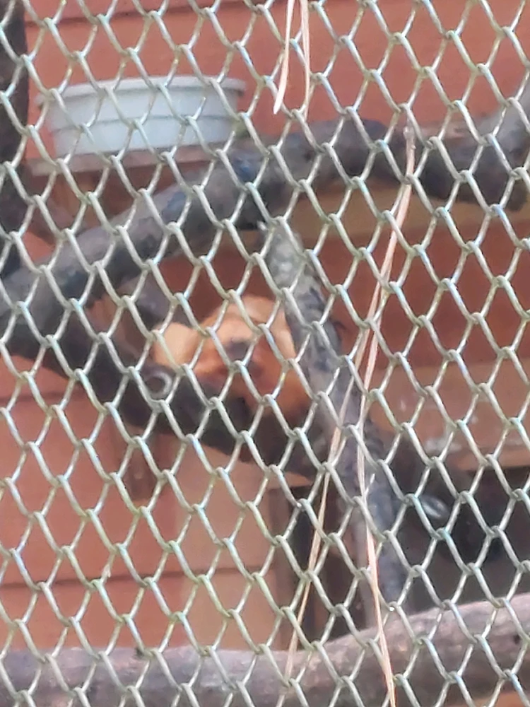 GIF uploaded by Jonathan