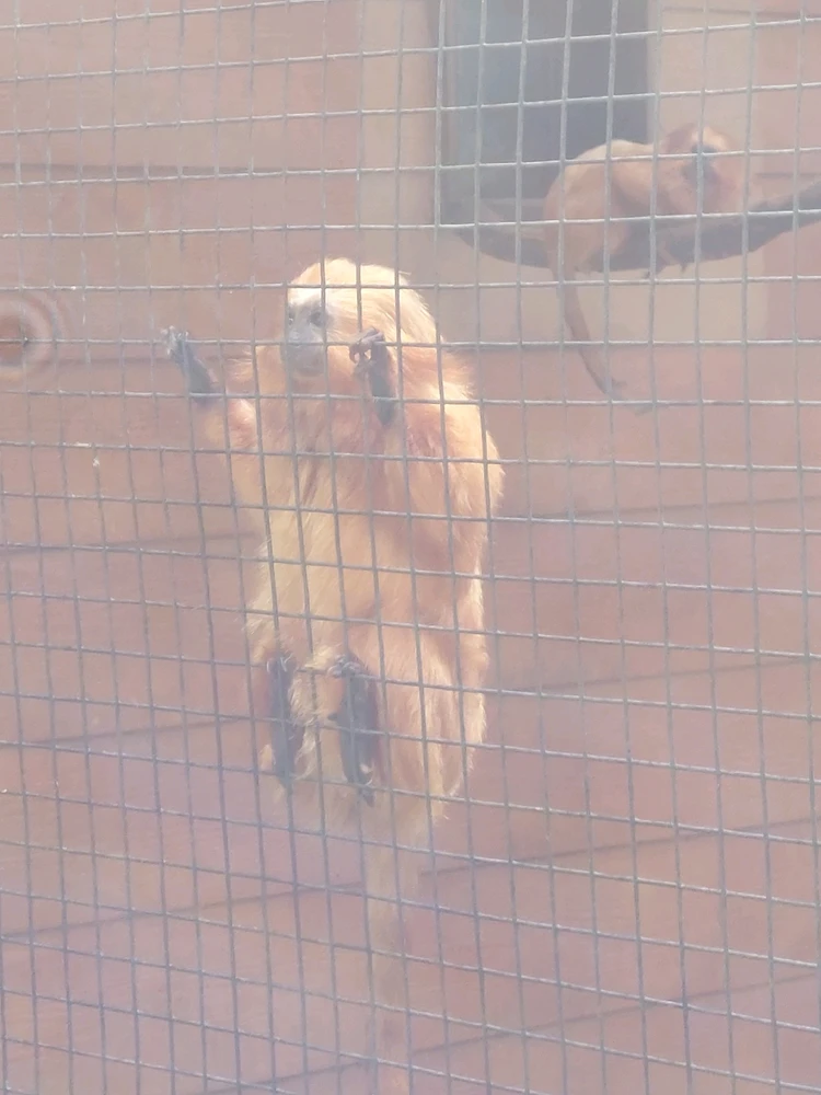 GIF uploaded by Jonathan